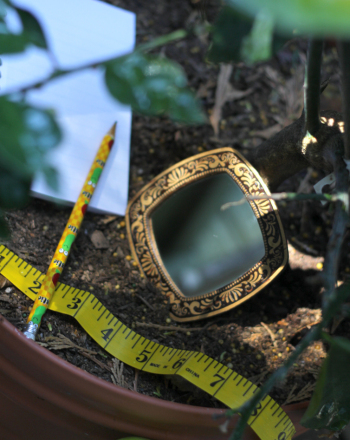 Using Mirrors in the Garden: Measuring Light Reflection