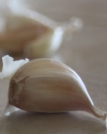 Properties of Garlic