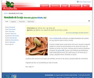 Nemátodo de la soja (Heterodera glycines)