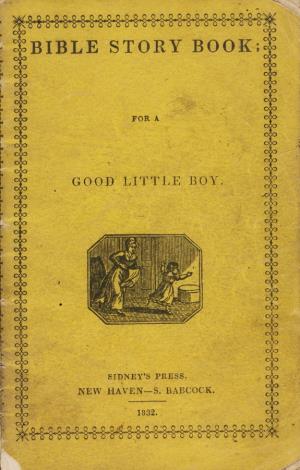 Bible story book for a good little boy (International Children's Digital Library)