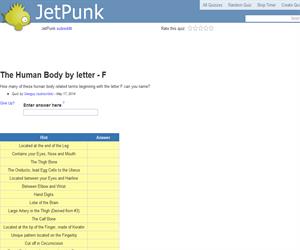 The Human Body by letter - F