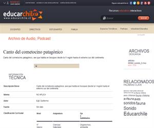 Canto del cometocino patagónico (Educarchile)
