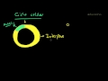 La multiplicación de las células - el ciclo celular