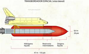 Transbordador espacial (vista lateral) (Diccionario visual)