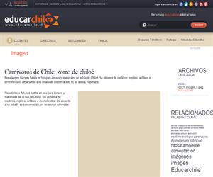 Carnívoros de Chile: zorro de chiloé (Educarchile)