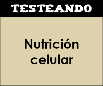 Nutrición celular. 2º Bachillerato - Biología (Testeando)