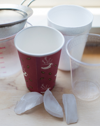 Which Cup Best Prevents Ice from Melting?