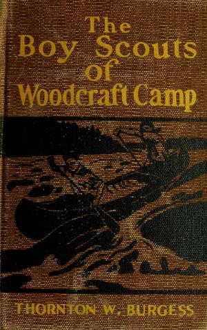 The boy scouts of Woodcraft camp (International Children's Digital Library)