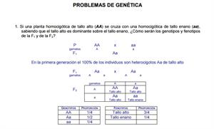 Problemas de Genética (IES Alonso Quijano de Alcalá)