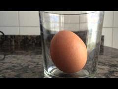 Aprende química con Fernando. El huevo y el vinagre.