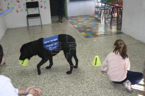 Proyecto TAP: terapia asistida con perros