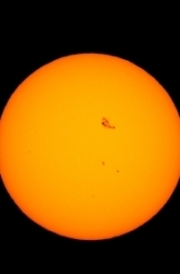 Sunspots: Calculating the Rotation Period of the Sun