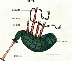 Gaita (Diccionario visual)