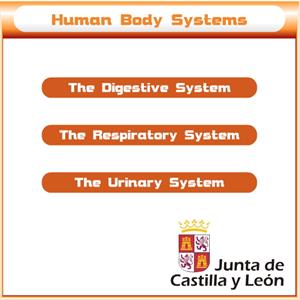 Digestive, respiratory and urinary system. Junta de Castilla y León