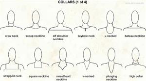 Collar  (Visual Dictionary)