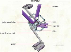 Pedalier (Diccionario visual)