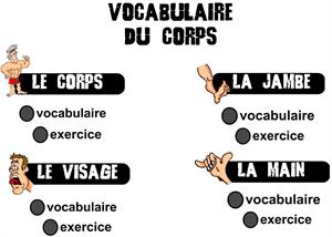 Vocabulaire du corps: aprender las partes del cuerpo en francés