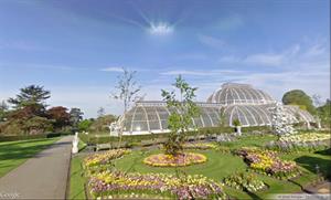 Reales Jardines Botánicos de Kew