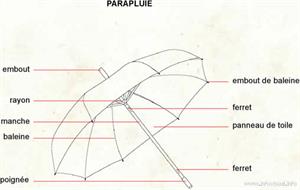 Parapluie (Dictionnaire Visuel)