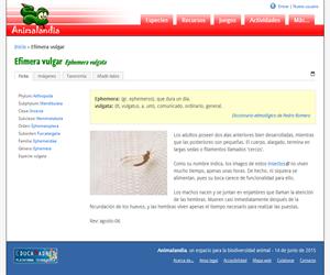 Efímera vulgar (Ephemera vulgata)