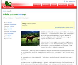 Caballo (Equus caballus )