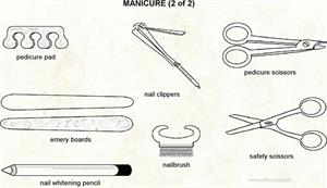 Manicures  (Visual Dictionary)