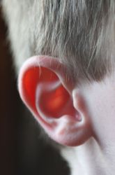 Hide and Go Listen: A Hearing Activity