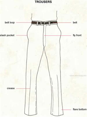 Trousers  (Visual Dictionary)