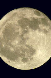 Do Phases of the Moon Affect Circadian Patterns in Mammals?