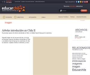 Árboles introducidos en Chile II (Educarchile)