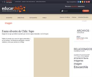 Fauna silvestre de Chile: Sapo (Educarchile)