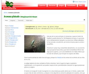 Arawana plateado (Osteoglossum bicirrhosum)