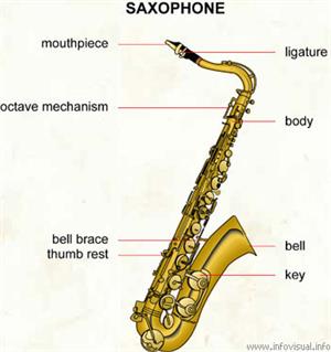 Saxophone (Dictionnaire Visuel)