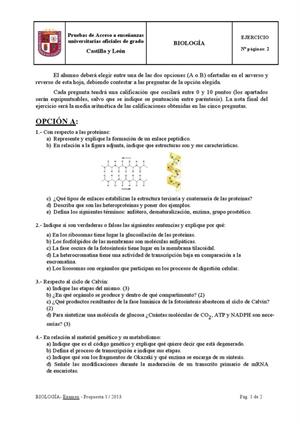 Examen de Selectividad: Biología. Castilla y León. Convocatoria Septiembre 2013