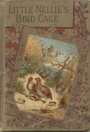 Little Nellie's bird-cage (International Children's Digital Library)
