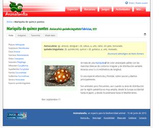 Mariquita de quince puntos (Anisocalvia quindecimguttata)