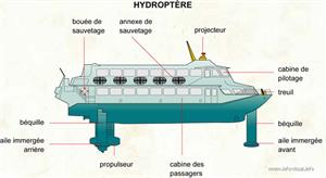 Hydroptère (Dictionnaire Visuel)