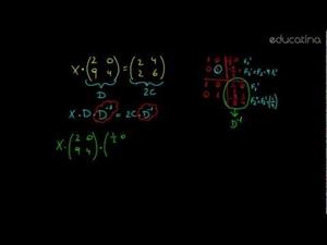 Ecuaciones matriciales 2