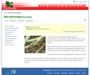 Rana verde europea (Rana esculenta)