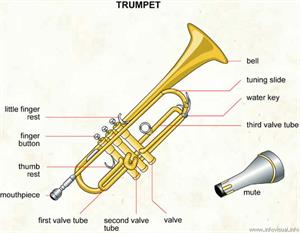 Trumpet  (Visual Dictionary)