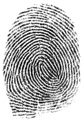 Fingerprints?  Do Parents and Children Share Similar Components and Patterns?