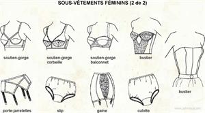 Sous-vêtement féminins 2 (Dictionnaire Visuel)