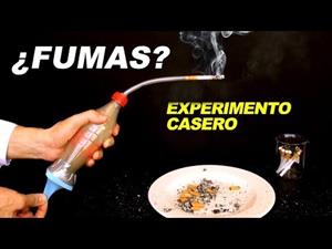 Experimentos Caseros de Ciencias Naturales: Demostración de lo Nocivo que es el Tabaco