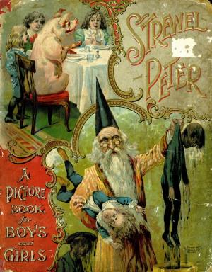 Struwel Peter: A picture book for girls and boys (International Children's Digital Library)