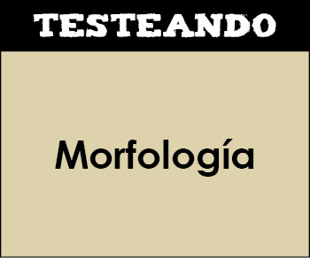 Morfología. 1º Bachillerato - Lengua (Testeando)