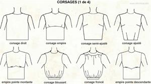 Corsages (Dictionnaire Visuel)