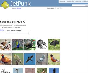 Name That Bird Quiz 2