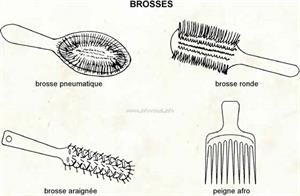Brosses (Dictionnaire Visuel)