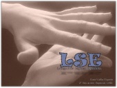 Lengua de Signos Española (LSE)
