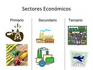 Sector primario, secundario y terciario: ejemplos